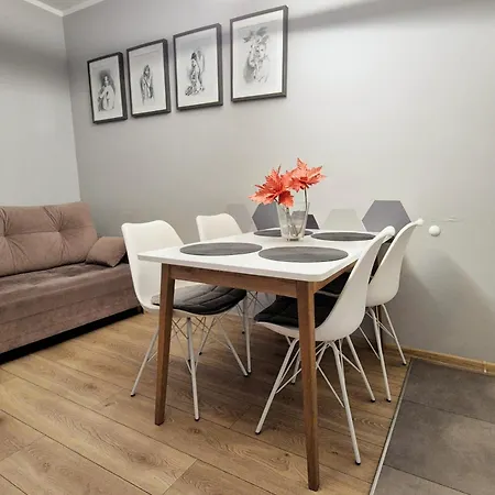 Dabrowskiego Apartamento